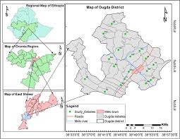 Image result for Marsdenia schimperi