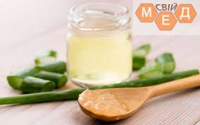 как сделать лекарство из алоэ и меда для желудка Aloe S Medom Dlya Zheludka I Kishechnika Poleznye Svojstva