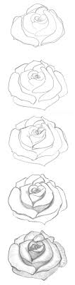 Close those petals into a heart shape—this will be the outline of other petals. 1001 Ideas And Tutorials On How To Draw A Rose Step By Step