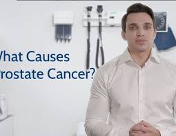 These include your blood pressure, heart rate and metab. What Causes Prostate Cancer Prostate Cancer Foundation