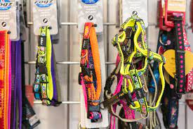 Care keeping your pet healthy. All Pets Vet Care Vet Practice At Milford Waterfront