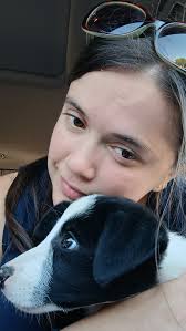 What do you call a Border Collie mixed with a dachshund?