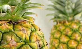 Exotische früchte im gewächshaus haben einen besonderen zauber inne. Warum Exotische Fruchte Etwas Besonderes Sind