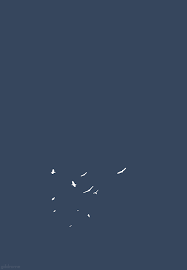 Colorful Birds Flying In The Sky Gif Https Encrypted Tbn0 Gstatic Com Images Q Tbn 3aand9gct566fojoncv2n Lmtri9zxx0r6eel2pi2irw Usqp Cau