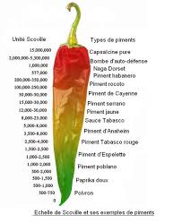 Capsaicine Bienfaits Pour La Sante Et La Perte De Poids Piment Melange D Epices Echelle De Scoville