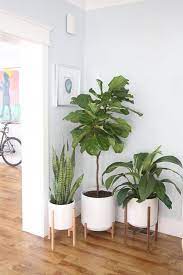 Home Decoration Stores Near Me Moderninteriors Mid Century Modern Planter Plant Decor Wood Plant Stand