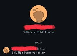 Bu ne sabah sabah sen kimsin ve neden bunu sormak için beni seçtin amk :  rKGBTR