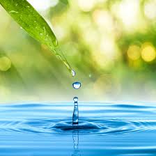 Hoy en día, el agua está muy amenazada por el crecimiento de la población, las crecientes demandas de la agricultura y la industria, y el empeoramiento de los impactos del cambio climático. Dia Mundial Da Agua Celebracao Do Dia Mundial Da Agua