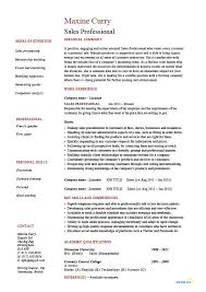 The second inside sales cv example shows you didn't have a cv gap. Sales Professional Resume Example Sample Job Description Work History Marketing Selling Work