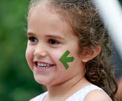 Photos: Pelotonia 2017, Day 2