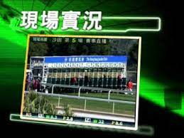 Nba常规赛 热火 vs 太阳 人人体育(高清直播) 球神直播hd 88直播(推荐). è³½é¦¬ç›´æ'­ Youtube