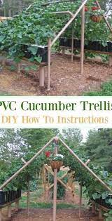 Pvc is quite cheap and very sturdy. Pvc Cucumber Trellis Diy Instructions Low Budget Diy Pvc Garden Projects Cucumber Trellis Diy Diy Trellis Cucumber Trellis