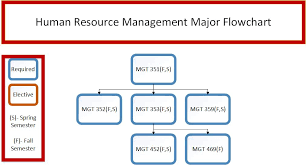 business human resource management francis marion university