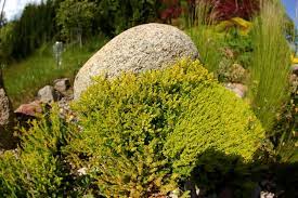 | findlinge steine für garten, kunststein, abdeckstein #garten #garden #gardendesign #gardendecor #gartenideen #stein #abdeckstein #gartenliebe Findlinge Im Garten Verwenden So Dekorieren Sie Schon
