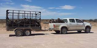 We did not find results for: How To Make Money With A Pickup Truck And Trailer Ten Practical Ideas Dualliner Bedliners For Ford Chevy Dodge Gmc Trucks