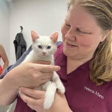 Sävsjö Veterinärklinik