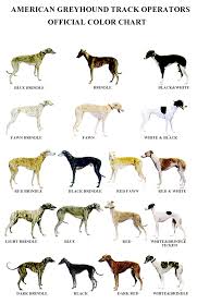 American Greyhound Track Operators Official Color Chart