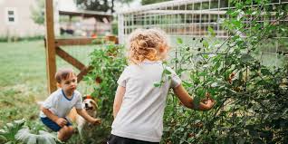 Cunku bambaska bir hayal aleminin dehlizlerinde kulac atmaktadir. Best Plant Cages For Home Gardens Tomato Cages And Beyond