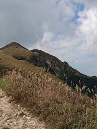 The views and flora are stunning while you can also feel the sea of grass brushing against your legs. Sunset Peak Hike Hong Kong Toucan Takes Off Family Travel Guide