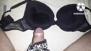 Meri Punjabi didi ki chudhi sex stories part 2