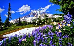 Wallpapere cu peisaje de primavara frumoase. Peisaje De Primavara Pt Desktop Imagini Frumoase Din Natura Poze Frumoase Si Peisaje Naturale Pe Spring Landscape Photos Landscape Photos Spring Wallpaper Hd