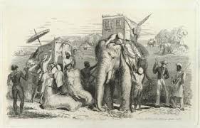 Tiger Hunt – Works – Asian Art Museum