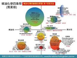 praxis aromatherapie google 搜尋 pie chart map chart