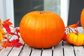 Vielfältige schnitzanleitungen für den kürbis zu halloween: Kinderleichte Anleitung Zum Kurbis Schnitzen