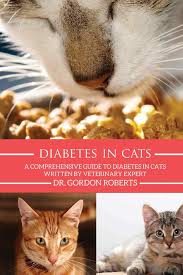 They do not speak and tend to hide their real health condition when are in trouble. Diabetes In Cats A Comprehensive Guide To Diabetes In Cats Amazon Co Uk Roberts Bvsc Mrcvs Dr Gordon 9781512106107 Books