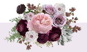 Proflowers.com has been visited by 10k+ users in the past month Fall Wedding Inspiration Mauve Plum Sage Queen City Blooms