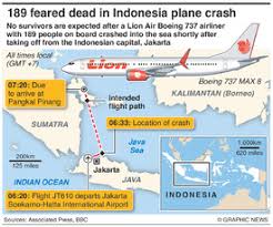 The two crashes saw boeing hit with $2.5billion in fines and the 737 max model was grounded worldwide. Indonesia Lion Air Plane Crash Infographic