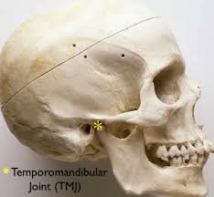 Image result for Jaw Dislocation