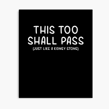 O m g will this kidney stone ever pass cheezburger. Funny This Too Shall Pass Just Like A Kidney Stone T Shirt Poster By Looktwice Redbubble