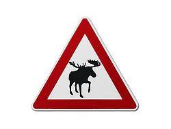 Kanadisches Verkehrsschild Elch Das Verkehrszeichen Aus Kanada Schilder Online Kaufen Verkehrsschilder Schilder Strassenschilder
