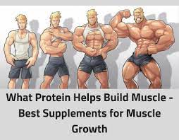 We dive into the detail and cover everything you need to keep in mind with your high protein diet. On An Article On What Proteins Are Good For Muscle Growth Badmensanatomy