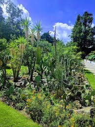 Der botanische garten erlangen ist eine gartenanlage in erlangen unmittelbar nördlich des erlanger schlossgartens. Trfihi Parks Parks Botanischer Garten Erlangen