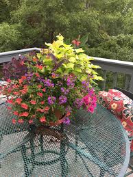 Waking Up With Flowers And Birdsong In My Deck Garden Maria Von Brincken Landscape Garden Design Deck Garden Garden Design Beautiful Flowers Wallpapers