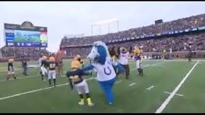 Blue won the 2019 mascot. Colts Mascot Caught On Camera Beating On Little Children Youtube