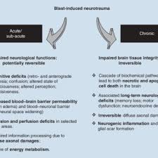 Zwinger rauch der fremdfick frau apk mund ficken. Pdf Understanding Blast Induced Neurotrauma How Far Have We Come