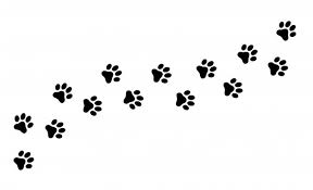 We get great and unusual images of. Free Cat Paw Vectors 2 000 Images In Ai Eps Format