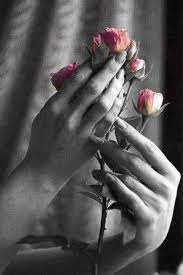 الورد أنت وأنت أنت عبيره والقلب أنت شقيقه وسميره يا م هدي الورد الجميل أسرتني ولطالما أسر الفؤاد black and grey rose pink life flowers for you