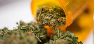 Cannabis Zunachst Am Besten Per Privatrezept Verordnen