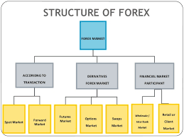 best forex prediction software foreign currency market