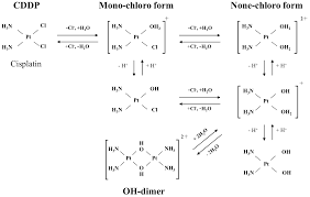 Analysis Of Cisplatin And Its Variants In Water Products Nacalai Tesque Inc