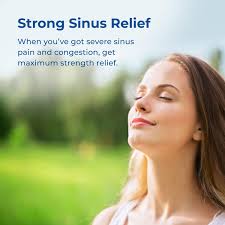 Maximum Strength Sinus and Nasal Decongestant