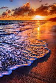 Anti Piega Materiale Di Fondo Bagliore Del Tramonto Sul Mare Spiaggia Photography Sfondo Per La Fotografia Sfondi Puntelli Hg 226 A Sunset Backgrounds Background Materialbackgrounds Beaches Aliexpress Immagini della natura, spiaggia al tramonto. anti piega materiale di fondo bagliore del tramonto sul mare spiaggia photography sfondo per la fotografia sfondi puntelli hg 226 a