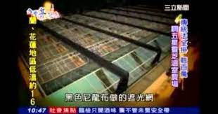 雙鶴靈芝 三立 台灣亮起來 10 things canning coffee cans