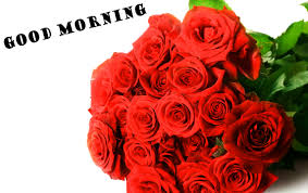 Best 50+ good morning images for whatsapp, good morning images for whatsapp, good morning quotes, good morning images with lovethispic offers good morning, have a beautiful day pictures, photos & images, to be used on facebook, tumblr, pinterest, twitter and other websites. Good Morning Red Flowers Good Morning Flower Images Hd Free Download And Quotes Good Morning Flowers Hd