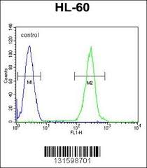 Dylight® is a registered trade mark of thermofisher inc., and its subsidaries. Anti Prss3 Antibody Mybiosource