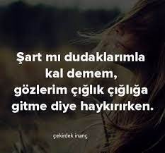 Ggamzek Adli Kullanicinin Sozler Ve Siirler Panosundaki Pin Ozlu Sozler Guzel Soz Deyisler